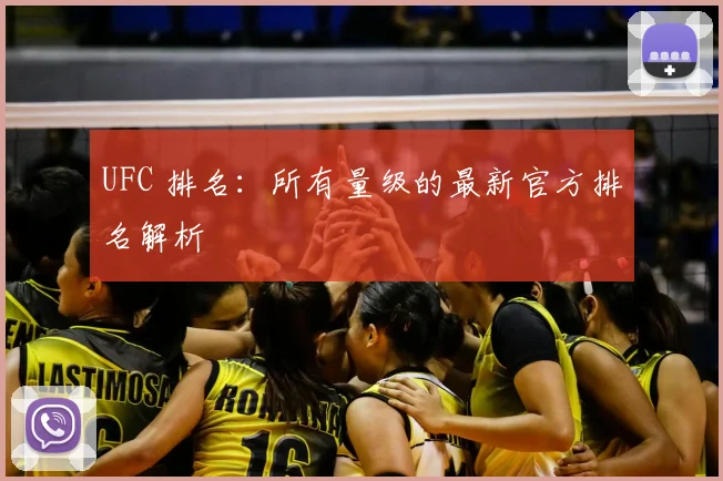 UFC 排名：所有量级的最新官方排名解析