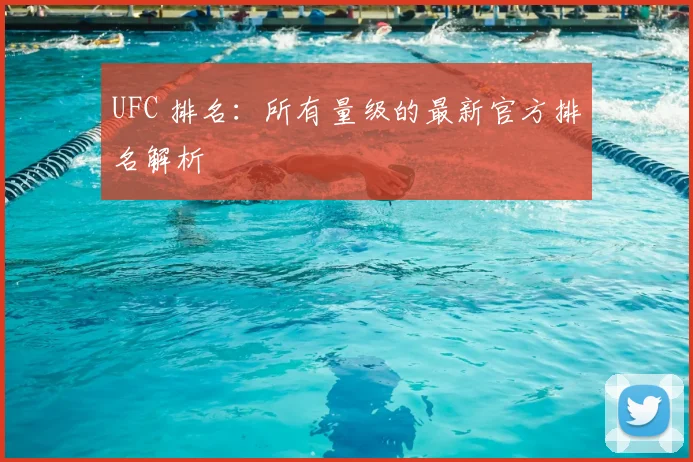 UFC 排名：所有量级的最新官方排名解析